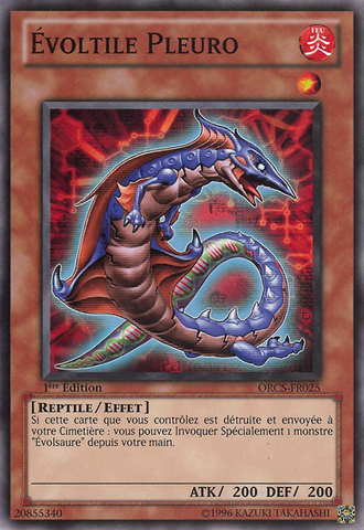 File:EvoltilePleuro-ORCS-FR-C-1E.png