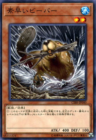 File:NimbleBeaver-CIBR-JP-NR.png
