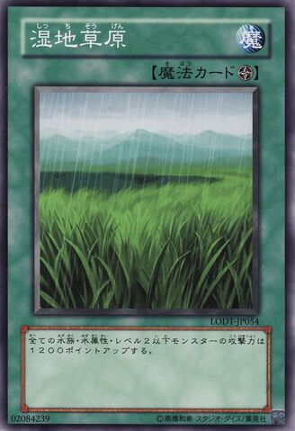 File:Wetlands-LODT-JP-C.jpg