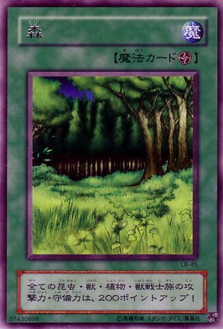 File:Forest-LB-JP-R.jpg