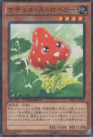 File:NaturiaStrawberry-DTC3-JP-DNPR-DT.png