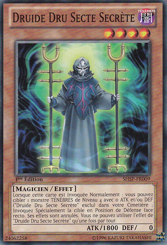 File:SecretSectDruidDru-SHSP-FR-C-1E.png