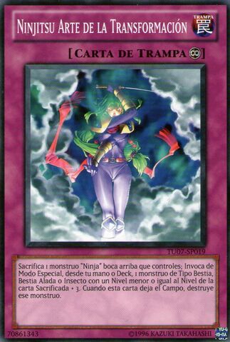 File:NinjitsuArtofTransformation-TU07-SP-C-UE.jpg