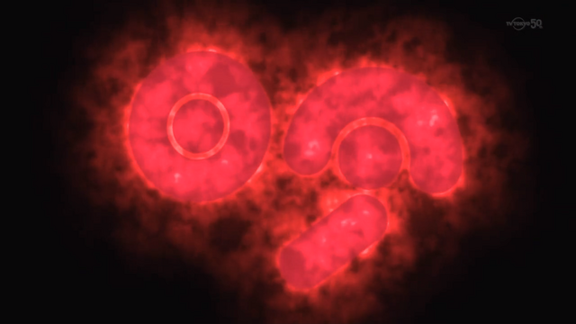 File:NumberC9.png