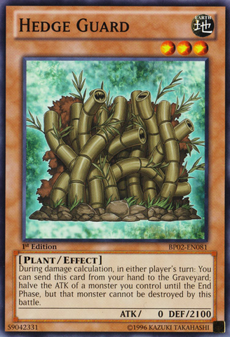 File:HedgeGuard-BP02-EN-C-1E.png