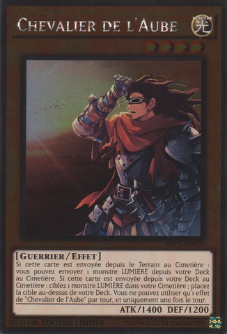 File:DawnKnight-NKRT-FR-PlR-LE.png