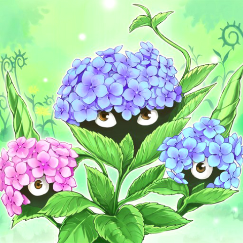 File:NaturiaHydrangea-TF04-JP-VG.png