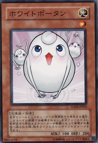 File:WhitePotan-ANPR-JP-C.jpg