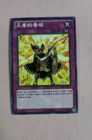 File:ChampionsVigilance-SD25-TC-C.png