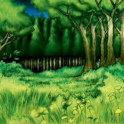 Forest-TF04-JP-VG