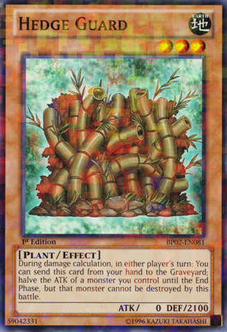 File:HedgeGuard-BP02-EN-MSR-1E.png