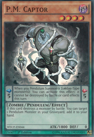 File:PMCaptor-WSUP-EN-SR-1E.png