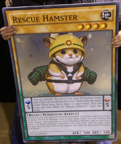 File:RescueHamster-NECH-EN-SR-UE-GC.png