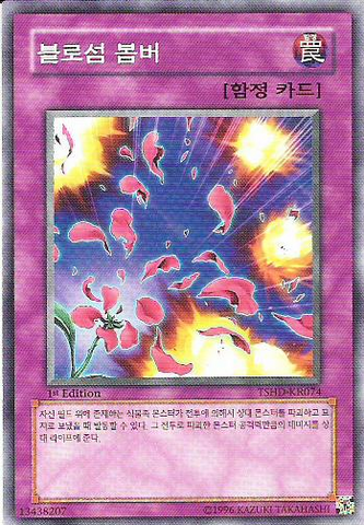 File:BlossomBombardment-TSHD-KR-C-1E.png