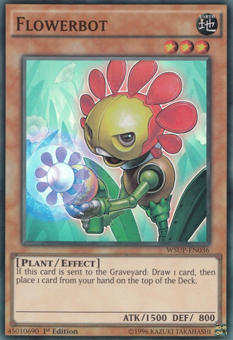 File:Flowerbot-WSUP-EN-SR-1E.png