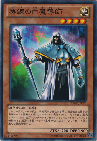 File:SkilledWhiteMagician-15AY-JP-C.png
