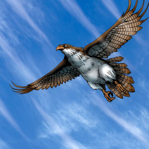 File:RisingAirCurrent-TF04-JP-VG.jpg