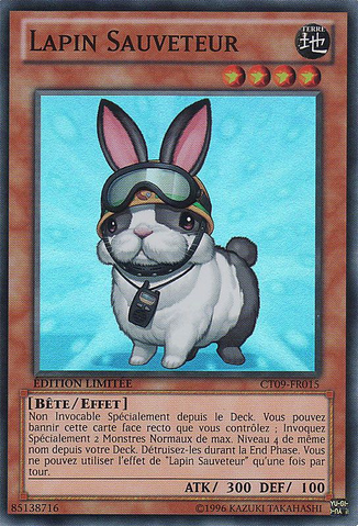 File:RescueRabbit-CT09-FR-SR-LE.png