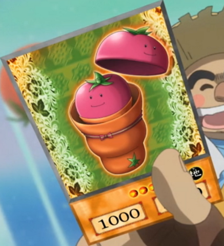 File:TomatoinTomato-EN-Anime-ZX.png
