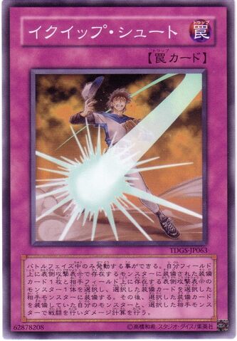 File:EquipShot-TDGS-JP-C.jpg