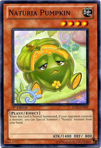 File:NaturiaPumpkin-STBL-EN-C-1E.jpg