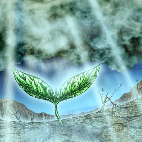 File:RainofMercy-TF04-JP-VG.jpg