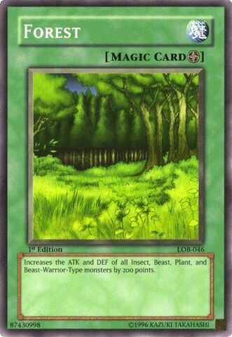 File:Forest-LOB-NA-C-1E.jpg
