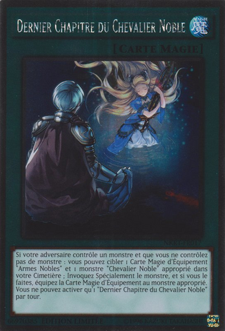 File:LastChapteroftheNobleKnights-NKRT-FR-PlR-LE.png