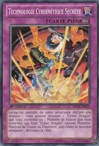 File:CyberneticHiddenTechnology-SDCR-FR-C-1E.png