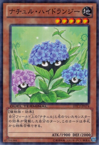File:NaturiaHydrangea-DTC2-JP-DNPR-DT.jpg