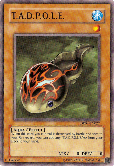 toad for oracle tips toad for oracle tips