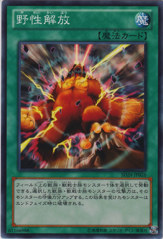 File:WildNaturesRelease-SD24-JP-C.png