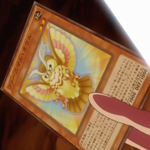 File:FluffalOwl-JP-Anime-AV.png
