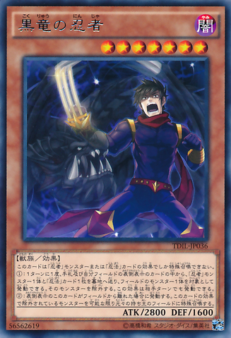 File:BlackDragonNinja-TDIL-JP-R.png
