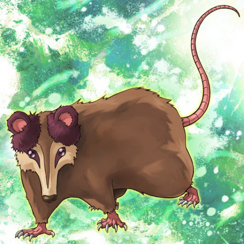 File:PlayfulPossum-TF05-JP-VG.png