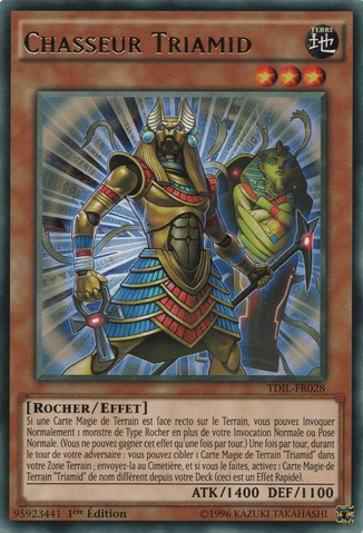 File:TriamidHunter-TDIL-FR-R-1E.png