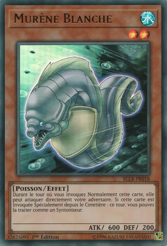 File:WhiteMoray-BLLR-FR-UR-1E.png