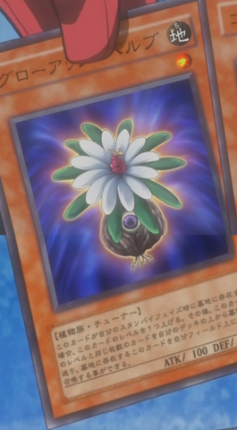File:GlowUpBulb-JP-Anime-5D.png