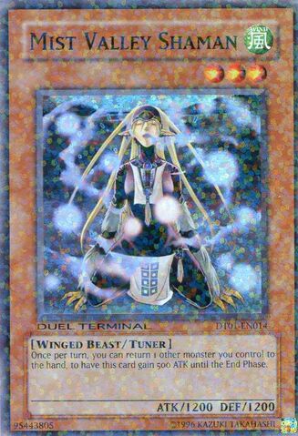 File:MistValleyShaman-DT01-EN-DSPR-DT.jpg
