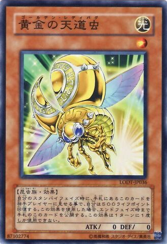 File:GoldenLadybug-LODT-JP-NR.jpg