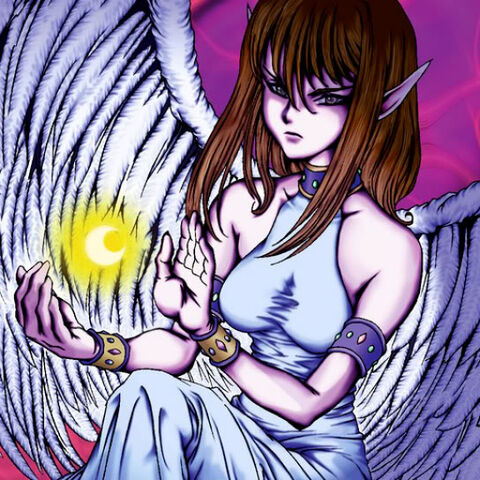 File:MaidenoftheMoonlight-TF04-JP-VG.jpg