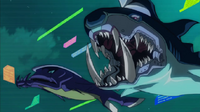 SharkStickersandBigJaws