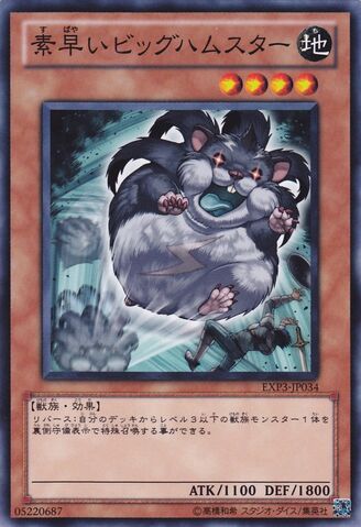 File:SuperNimbleMegaHamster-EXP3-JP-C.jpg