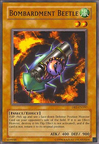File:BombardmentBeetle-DB1-EN-C-UE.jpg