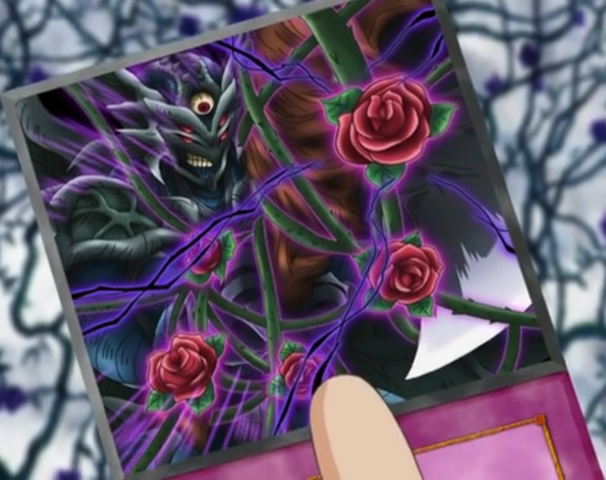 File:RoseCurse-EN-Anime-5D.png