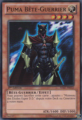 File:BeastWarriorPuma-HA07-FR-SR-1E.png