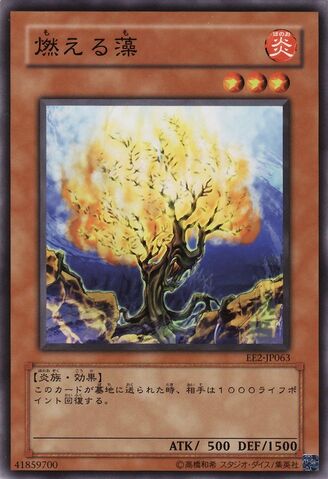 File:BurningAlgae-EE2-JP-C.jpg