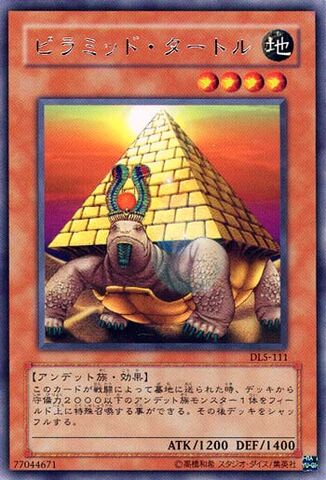 File:PyramidTurtle-DL5-JP-R.jpg