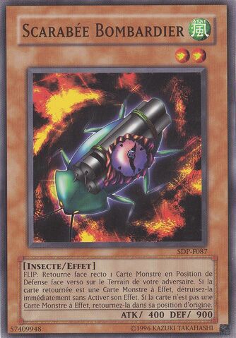 File:BombardmentBeetle-SDP-FR-C-UE.jpg