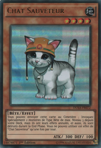 File:RescueCat-DUSA-FR-UR-1E.png